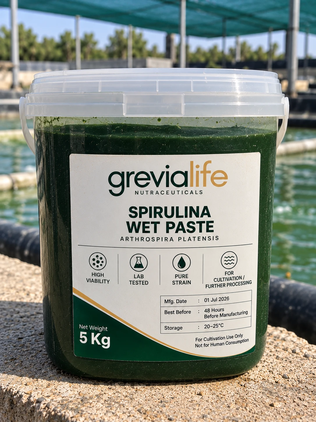 Grevialife spirulina wet biomass paste, 5 kg pail
